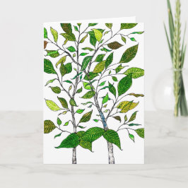 Ficus Plant Color Pencil Tree Drawing  カード