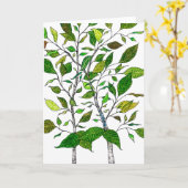 Ficus Plant Color Pencil Tree Drawing  カード (黄色い花)