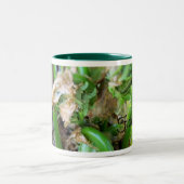 fiddleheadのマグ ツートーンマグカップ (中央)