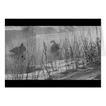 Fidelityの~の冬の白鳥カード