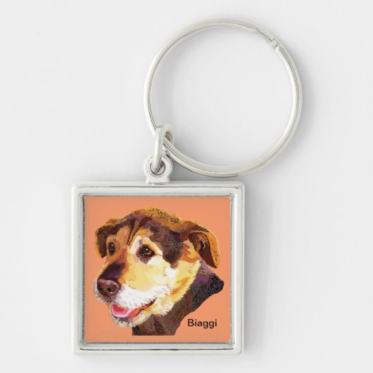 FidoのキーホルダーのためのBiaggiの塀 キーホルダー (正面)