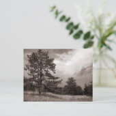 Field and Tree Photo（ニューヨーク、ハドソン） ポストカード (スタンド正面)