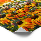 Field of Black Eed Susan ポスター (角)