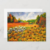 Field of Black Eed Susan ポストカード (正面/裏面)