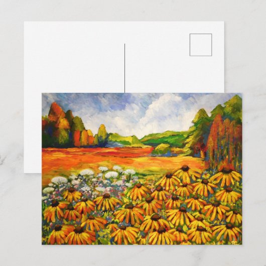 Field of Black Eed Susan ポストカード (正面/裏面)