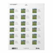 Field of Bluebonnets -住所 シール (フルシート)