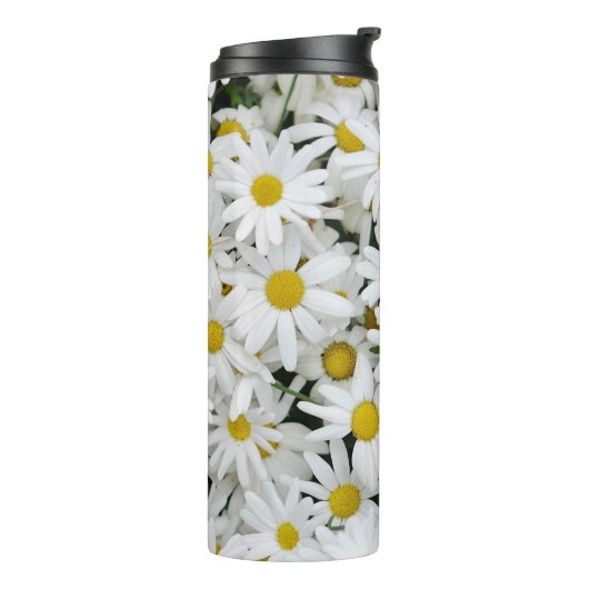 Field of Daisies タンブラー (回転左)