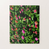 Field Of Flowers《植物》百日草効果 ジグソーパズル (縦)