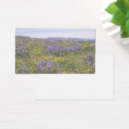 Field of Flowers Note Card (デスク)