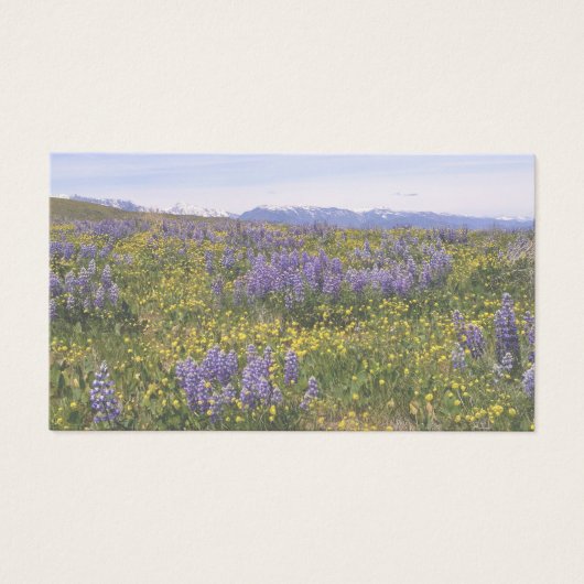 Field of Flowers Note Card (正面)
