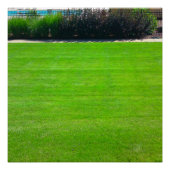 Field of Grass Perfect Poster ポスター (正面)