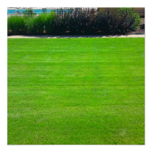 Field of Grass Perfect Poster ポスター (正面)