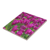 Field of Purple Tulips タイル (側面)