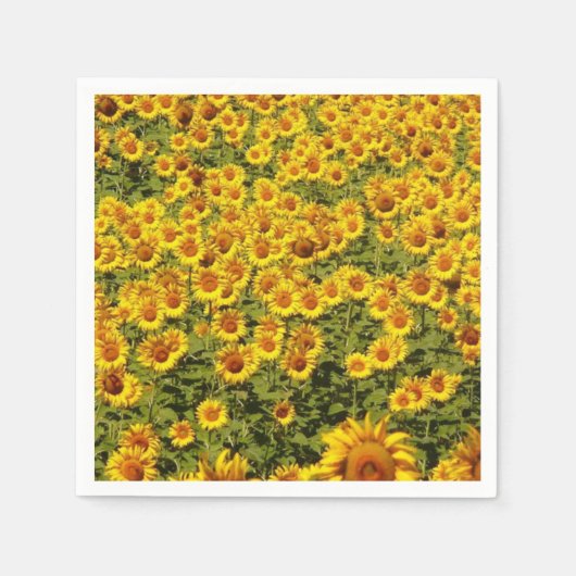 Field of Sunflowers スタンダードカクテルナプキン (正面)
