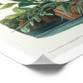 Field Sparrow by Audubon Poster ポスター (角)