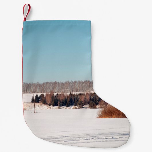 Fields and forests of central Russia. architecture スモールクリスマスストッキング (正面)