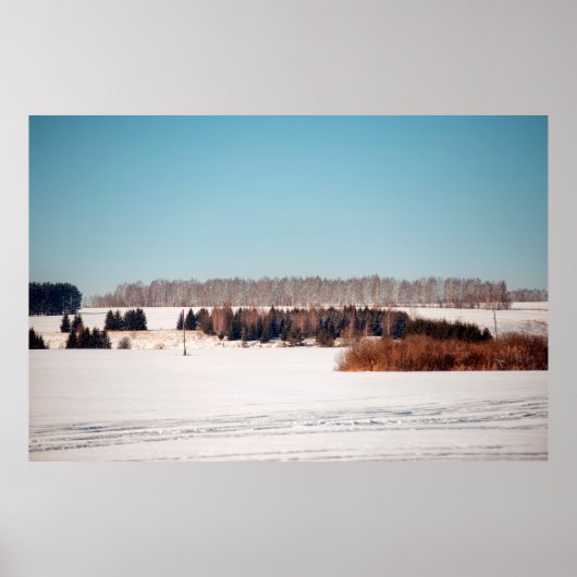 Fields and forests of central Russia. architecture ポスター (正面)
