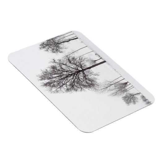 Fields Around Scalenghe | Piedmont, Italy マグネット (右側)