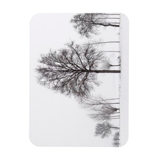 Fields Around Scalenghe | Piedmont, Italy マグネット (縦)