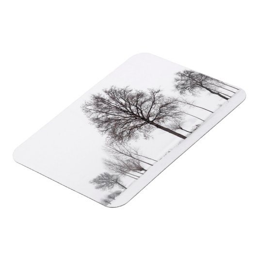 Fields Around Scalenghe | Piedmont, Italy マグネット (左側)