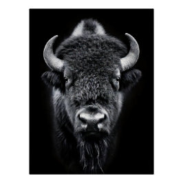 Fierce Black & White Bison Fine Art Photography | ポスター
