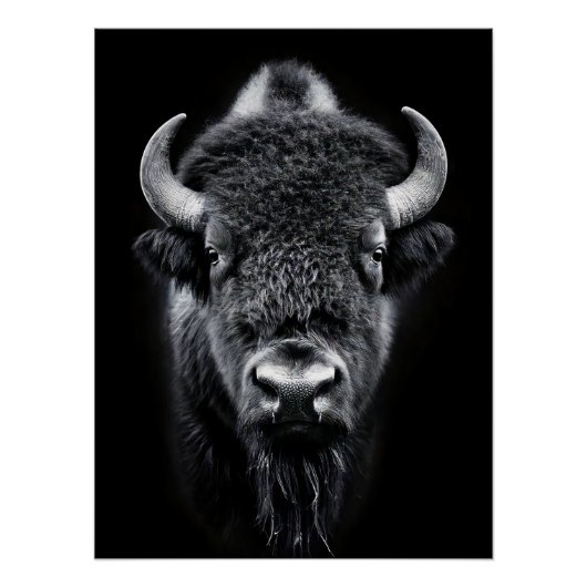 Fierce Black & White Bison Fine Art Photography | ポスター (正面)