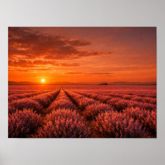 Fiery Sunset Lavender Fields Poster - Warm Orange ポスター