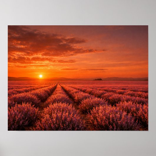 Fiery Sunset Lavender Fields Poster - Warm Orange ポスター (正面)