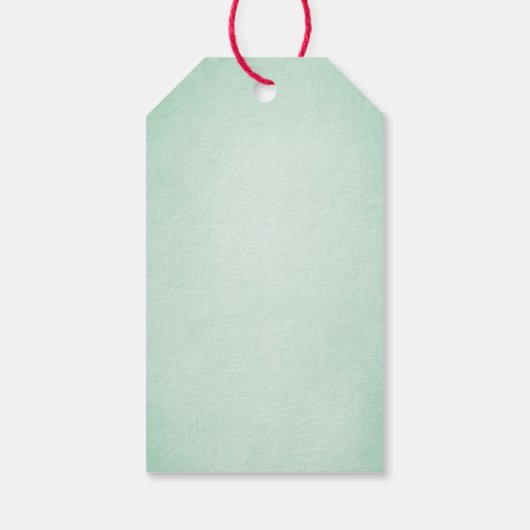 Fiestaシャワーメキシカンサボサボサボサボサボサボサボサボサボサボサボサボサボサボサボサボサボサ ギフトタグ (裏面)