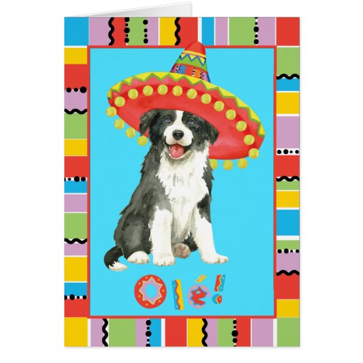 Fiesta Border Collie Greeting Card (正面)