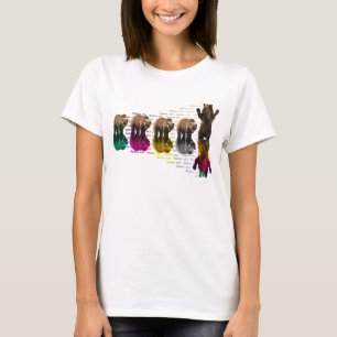 FifthBearの対角線 Tシャツ