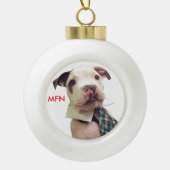 FigニュートンOrnament #1氏 セラミックボールオーナメント (正面)