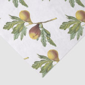 Fig Pattern 薄葉紙 (詳細)