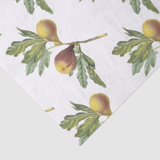 Fig Pattern 薄葉紙 (詳細)