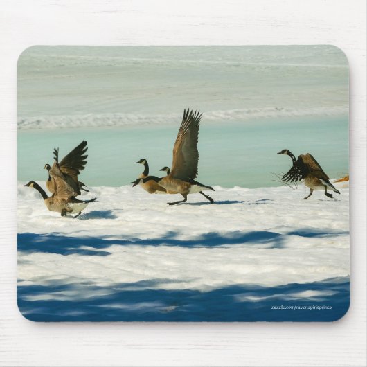 Figing Canada Geese & Snow Wildlife写真 マウスパッド (正面)