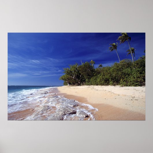 Fiji Islands, Tavarua. This beach on Tavarua, ポスター (正面)