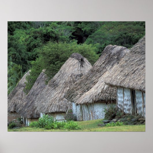 Fiji, Viti, Traditional hut houses. ポスター (正面)
