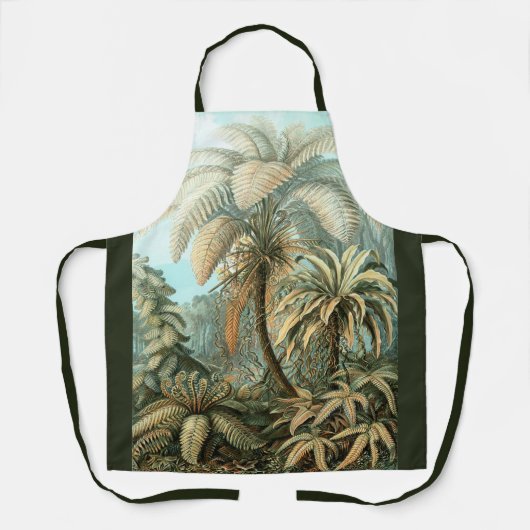 Filicinae by Ernst Haeckel, Fern Plants エプロン (正面)