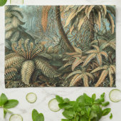 Filicinae by Ernst Haeckel, Fern Plants キッチンタオル (折り畳み)