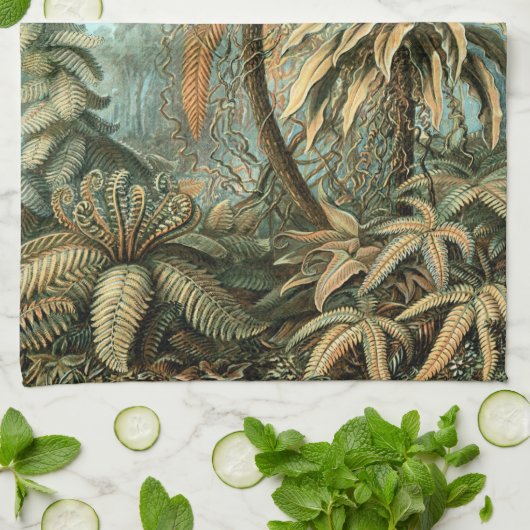 Filicinae by Ernst Haeckel, Fern Plants キッチンタオル (折り畳み)