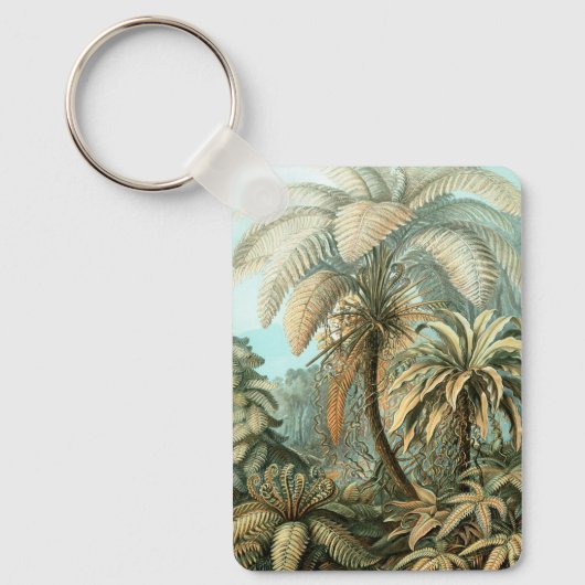 Filicinae by Ernst Haeckel, Fern Plants キーホルダー (正面)