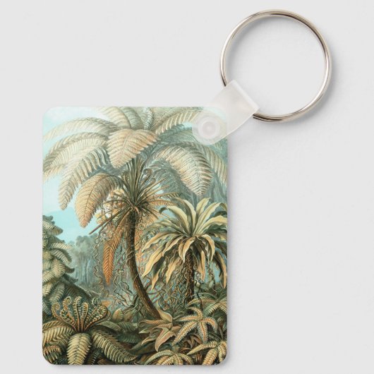 Filicinae by Ernst Haeckel, Fern Plants キーホルダー (裏面)
