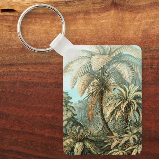 Filicinae by Ernst Haeckel, Fern Plants キーホルダー (正面)