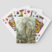 Filicinae by Ernst Haeckel, Fern Plants トランプ (裏面)