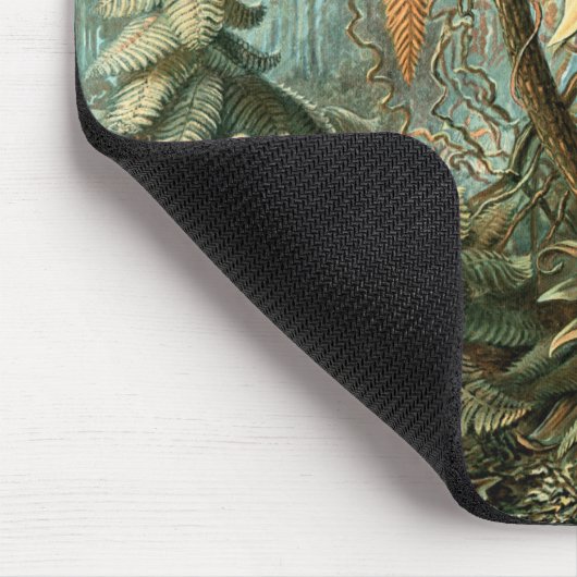 Filicinae by Ernst Haeckel, Fern Plants マウスパッド (コーナー)