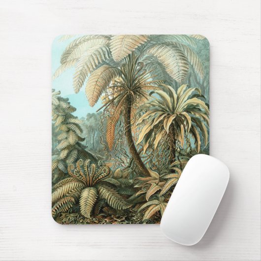 Filicinae by Ernst Haeckel, Fern Plants マウスパッド (マウス)