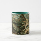 Filicinae by Ernst Haeckel, Fern Plants マグカップ (中央)