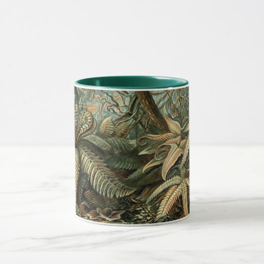 Filicinae by Ernst Haeckel, Fern Plants マグカップ (中央)