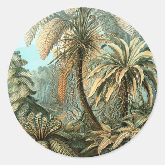 Filicinae by Ernst Haeckel, Fern Plants ラウンドシール (正面)