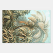 Filicinae by Ernst Haeckel, Fern Plants ラッピングペーパーシート (正面2)